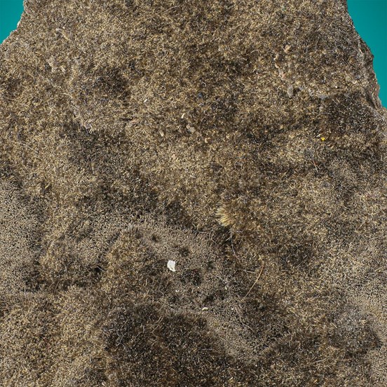 Millerite-Thompson Mine | Moab-Setting | Lakes Area | Manitoba | Canada